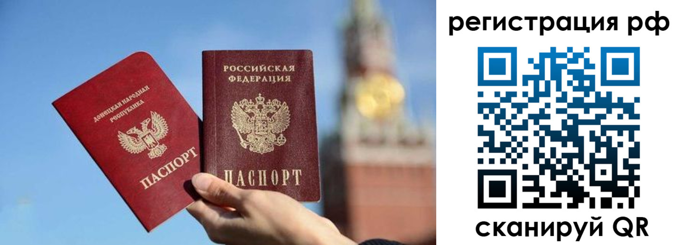 найти адрес прописки в Боре